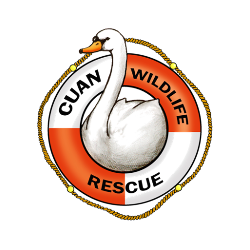 Cuan Wildlife Rescue